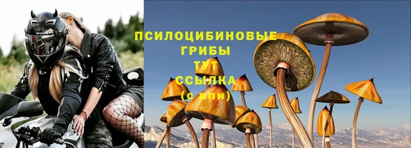марки nbome Белокуриха
