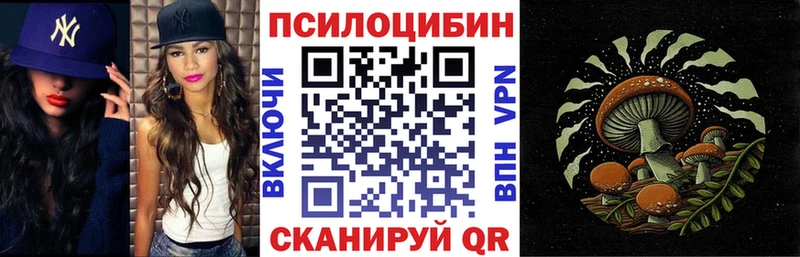 нарко площадка как зайти Будённовск Псилоцибиновые грибы Psilocybe